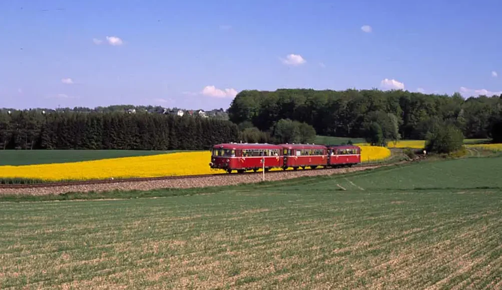 Railbussen in de Duitse Hunsrück tijdens een excursie. Foto: Oege Kleijne